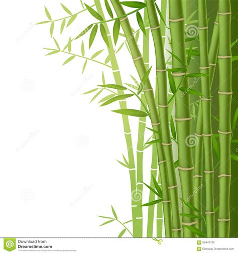 Illustration En Bambou Verte De Vecteur Illustration De Vecteur