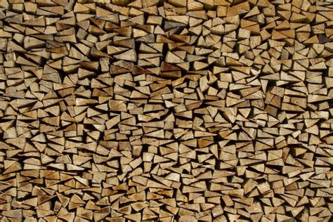 How To Get Rid Of Bugs In Firewood And Woodpiles Naturally Bugwiz