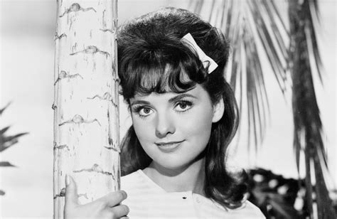 Dawn Wells Turner Classic Movies