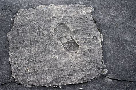 The Huge Carbon Footprint of Cement (And What We Can Do About It)