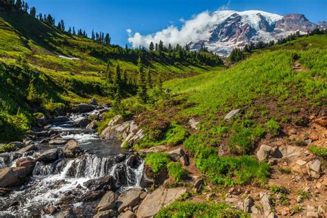 The 3 National Parks In Washington State What To See Do 2022