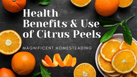 Health Benefits And Use Of Citrus Peels