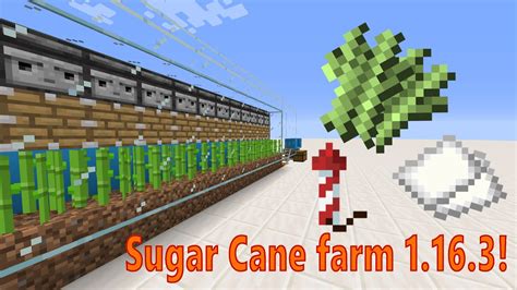 Automatic Sugar Cane Farm For Minecraft Tutorial Youtube