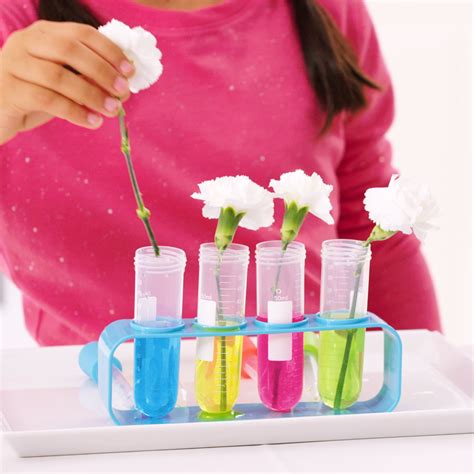 Check spelling or type a new query. The Simple, Magical Color-Changing Carnation Experiment ...