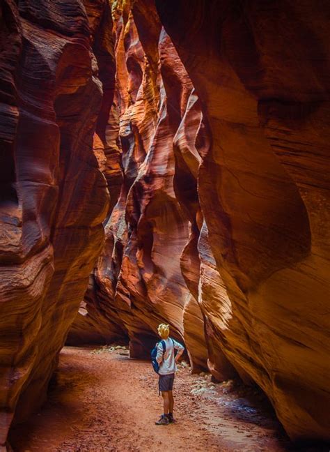 Buckskin gulch is a long slot canyon tributary to paria canyon. Best Day-Hike ever! Buckskin Gulch, Utah - aconcagua.de in 2020 | Slot canyon, Fotografen ...