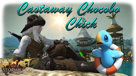 Automatically track your character's minions and discover how to obtain new ones. FFXIV Stormblood: Castaway Chocobo Chick Minion Guide - YouTube