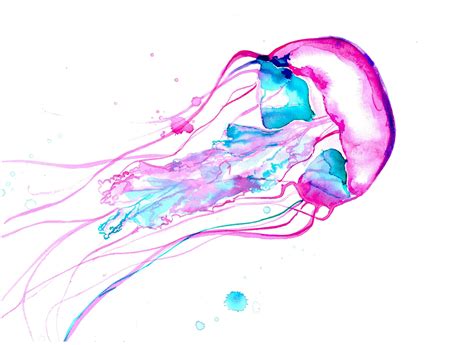 Watercolor Jellyfish By Jessica Durrant Using Watercolors To Paint