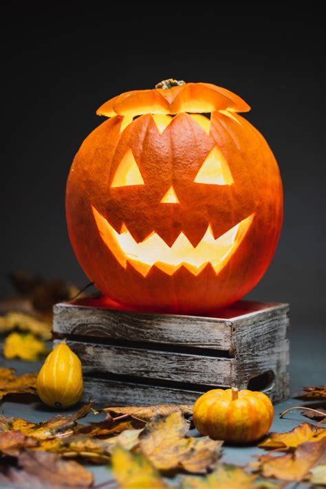 Halloween Pumpkin Pictures | Download Free Images on Unsplash