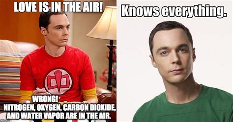 Love Is In The Air Meme Sheldon Big Bang Theory Meme Bazinga