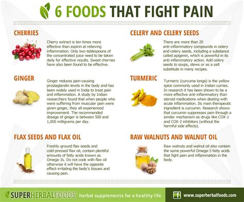 6 Great Pain Fighting Foods Dr Sam Robbins
