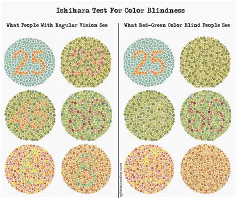 A Teenager Redesigns The Web For The Color Blind Codesign Business