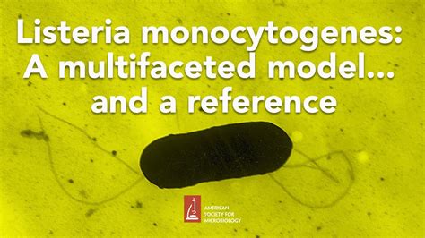 Listeria Monocytogenes A Multifaceted Model And A Reference By