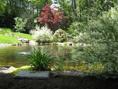 Webinar Natural Swimming Ponds Beauty Recreation And