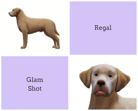 Sims 4 Large Dog Poses Explore Tumblr Posts And Blogs Tumgik
