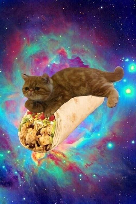 So Heres A Picture Of A Cat Riding A Burrito In Outer Space Space