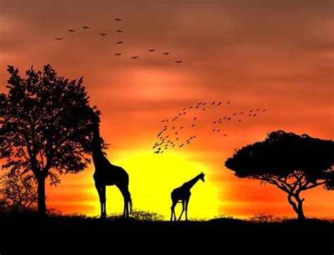 The influences from each parent on eye color aren't fully known. Do You Know? The true color of the Sun is not YELLOW ...