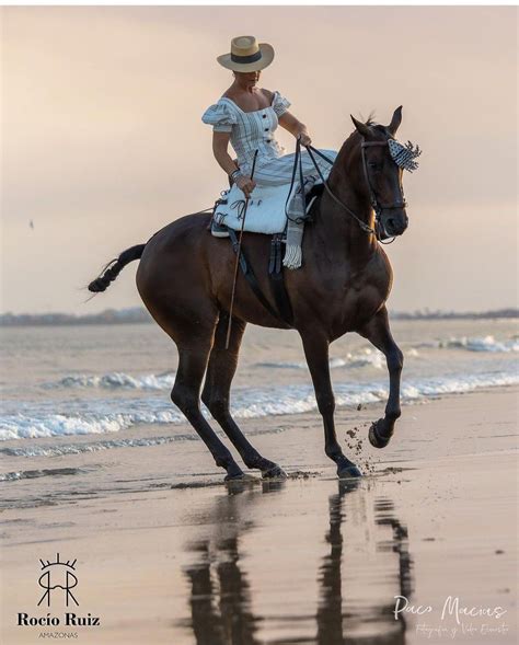 Pin By Horse Breeds Martina Fabrizi On Side Saddle Riding Helmets