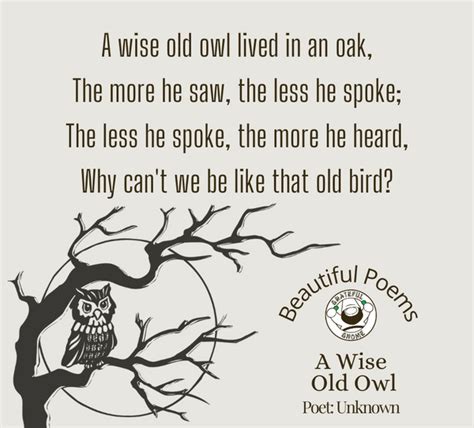 Beautiful Poems A Wise Old Owl Grateful Gnome