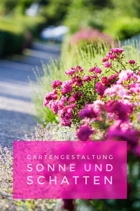 Check spelling or type a new query. Gartengestaltung: Standortbedingungen erkennen ...