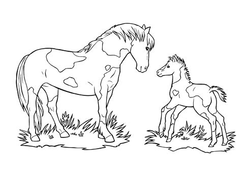 Fohlen Ausmalbilder Pferde Foal Lineart Stable Kinder Konie Kolorowanka