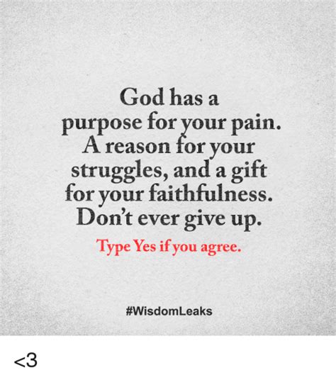 God Has A Purpose For Your Pain A Reason For Vour Struggles And A T
