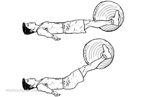 Swiss Ball Leg Lifts Workoutlabs Exercise Guide