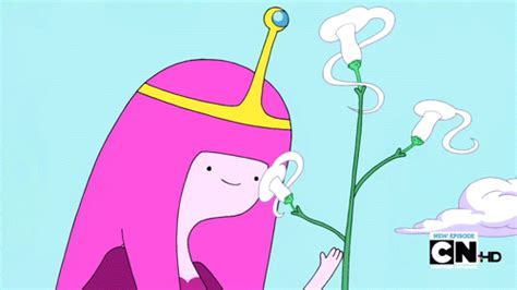 Princess Bubblegum Adventure Time With Finn And Jake Photo 34395205