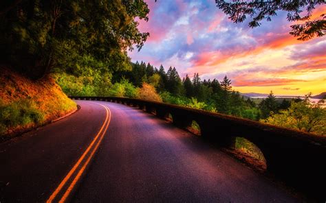 Beautiful Sunset Scenery Forest Trees Road Clouds Colors Wallpaper