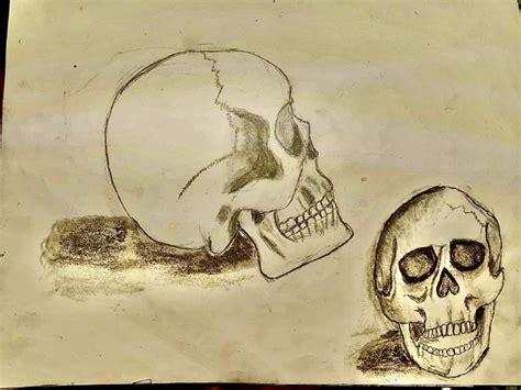 Skull Perspective Subject To Interpretation Drawings And Illustration