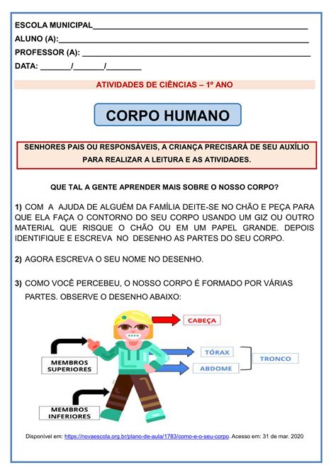 Plano De Aula Ciencias 1 Ano