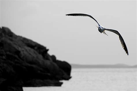 Paisajes en Blanco y Negro - Off Topic y humor