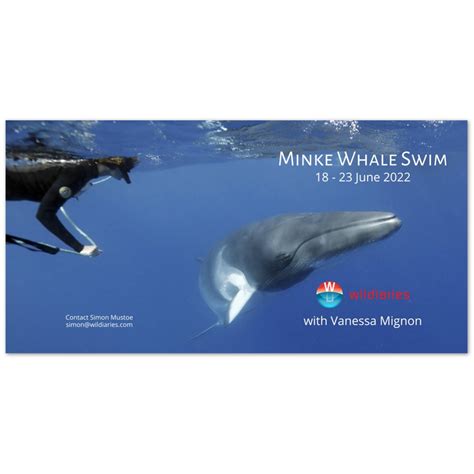 Wildiaries Minke Whale Swim With Vanessa Mignon 18 23 June 2022