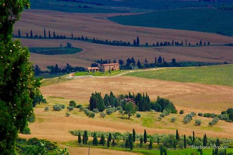 Tuscan Landscape By Barbara Brown Redbubble