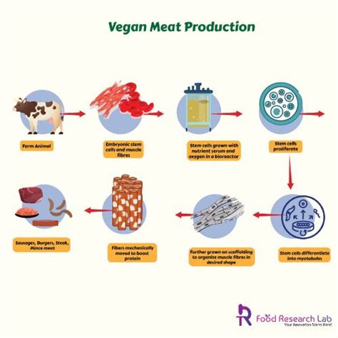 Plant Protein Sources For Vegan Meat Formulation Guires Frl