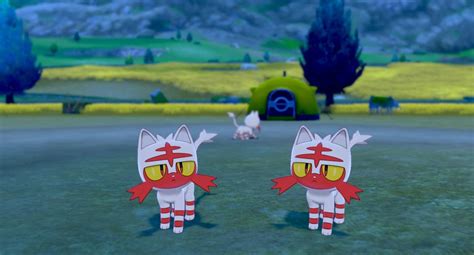 Was Shiny Hunting For A Shiny Hidden Ability Litten But I Got A Shiny