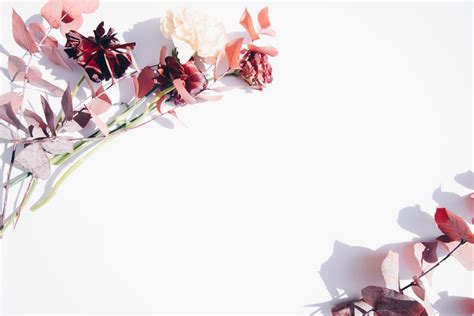 900 Floral Background Images Download Hd Backgrounds On Unsplash
