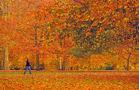 Top Things To Do In London In The Fall