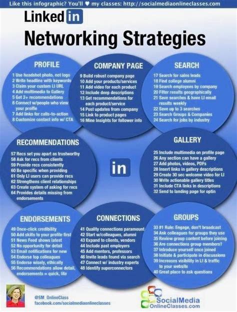 Networking Strategy How To Network With People Business Diagrams