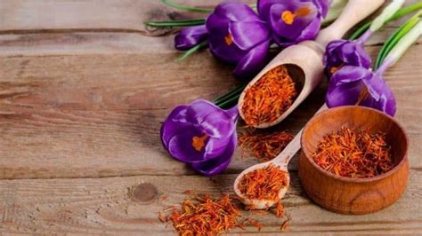 Kesar Saffron Nutrients Benefits Uses Dose Side Effects Ayush Cure