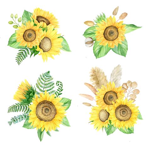 Sunflowers Arrangements Watercolor Boho Clip Art Summer Flowers By
