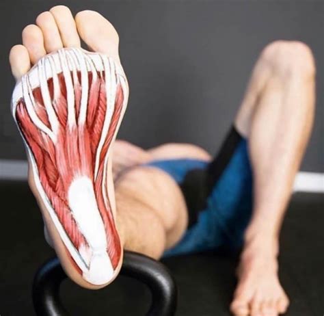 How To Fix Plantar Fascia Pain The Footcare Clinic