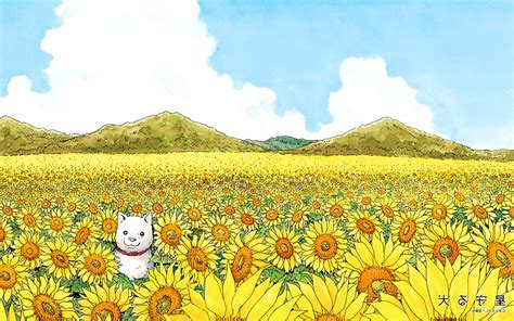 Haruki murakami is a japanese writer. Takashi Murakami Desktop Wallpapers - Wallpaper Cave