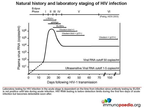 Hiv Acute Retroviral Syndrome Case Study Immunopaedia