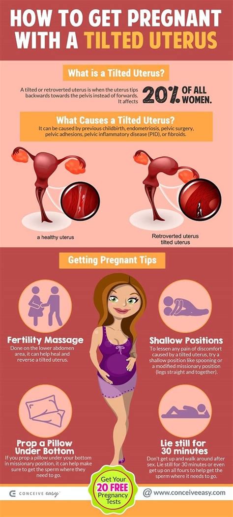 Top 9 Ovulation Symptoms Infographic Conceive Easy