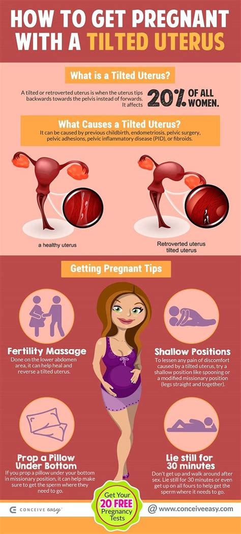 Right side pain during pregnancy is a common occurrence for many pregnant women. How to Get pregnant With Retroverted Uterus | ConceiveEasy ...