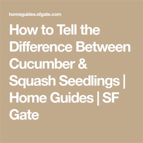 Check spelling or type a new query. How to Tell the Difference Between Cucumber & Squash ...