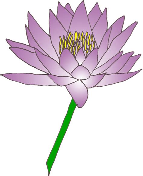 Water Lily Cliparts Png Clipartix