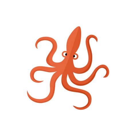 Octopus Tentacles White Background Illustrations Royalty Free Vector