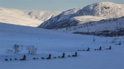 Self Drive Dog Sledding Visit Tromso