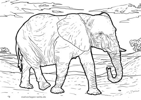 Ich bin begeistert, weil ich euch über meine neue leidenschaft erzählen kann! Ausmalbilder Elefant Erwachsene